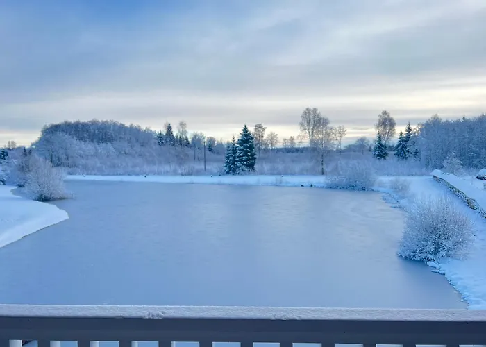 Cozy Sauna House At Sinso Talu * Ulejoe